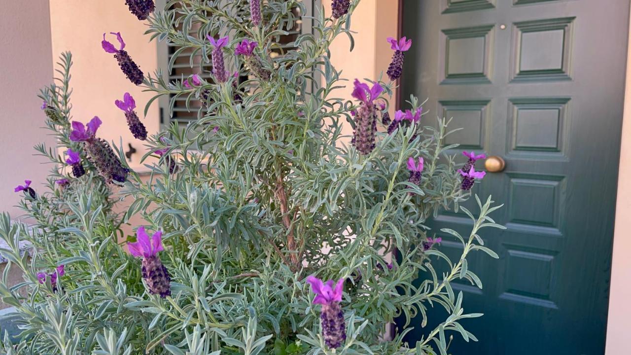 A Due Passi Dalla Citta Selargius Exterior foto